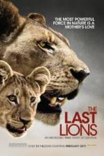 Watch The Last Lions Megashare