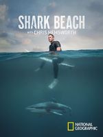 Watch Shark Beach with Chris Hemsworth (TV Special 2021) Megashare