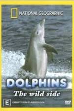 Watch Dolphins: The Wild Side Megashare