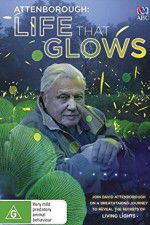 Watch Attenborough\'s Life That Glows Megashare