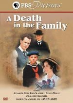 Watch A Death in the Family Megashare