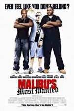 Watch Malibu's Most Wanted Megashare