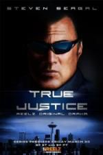 Watch True Justice: Brotherhood Megashare
