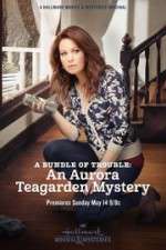 Watch A Bundle of Trouble: An Aurora Teagarden Mystery Megashare
