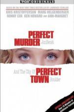 Watch Perfect Murder Perfect Town JonBenet and the City of Boulder Megashare