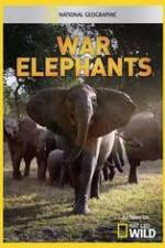 Watch War Elephants Megashare