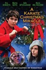 Watch A Karate Christmas Miracle Megashare