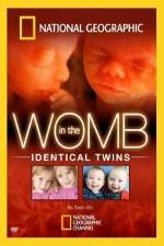 Watch National Geographic: In the Womb - Identical Twins Megashare