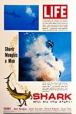 Watch Shark Megashare