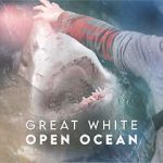 Watch Great White Open Ocean Megashare