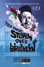 Watch Yusuf Hawkins: Storm Over Brooklyn Megashare