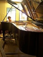 Watch Note by Note: The Making of Steinway L1037 Megashare