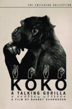 Watch Koko, le gorille qui parle Megashare
