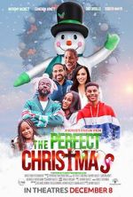 Watch The Perfect Christmas Megashare