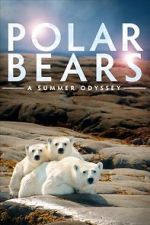 Watch Polar Bears: A Summer Odyssey Megashare