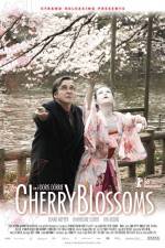Watch Cherry Blossoms Megashare
