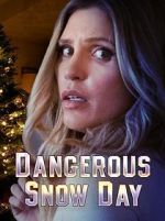 Watch Dangerous Snow Day Online Megashare