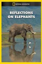 Watch Reflections on Elephants Megashare