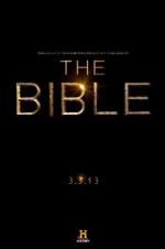 Watch The Bible Megashare