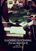 Watch Blackbird Descending Megashare