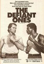 Watch The Defiant Ones Megashare