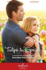 Watch Tulips in Spring Megashare