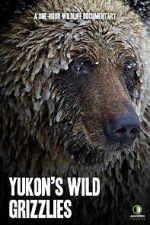 Watch Yukon\'s Wild Grizzlies Megashare