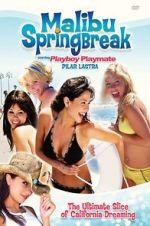 Watch Malibu Spring Break Megashare