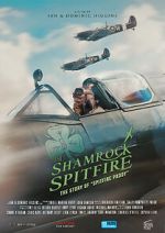 Watch The Shamrock Spitfire Megashare