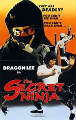 Watch Secret Ninja Megashare