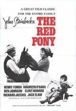 Watch The Red Pony Megashare