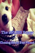 Watch The 60,000 Puppy: Cloning Man's Best Friend Megashare