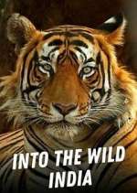 Watch Into the Wild India Megashare
