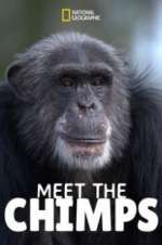 Watch Meet the Chimps Megashare