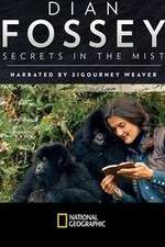 Watch Dian Fossey: Secrets in the Mist Megashare