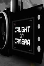 Watch Criminals Caught on Camera Megashare
