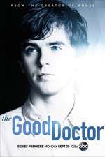 Watch Megashare The Good Doctor Online