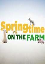 Springtime on the Farm megashare