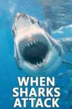 Watch When Sharks Attack Megashare