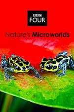 Watch Natures Microworlds Megashare