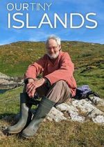Our Tiny Islands megashare