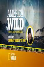Watch America the Wild Megashare