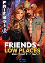 Watch Friends in Low Places Megashare