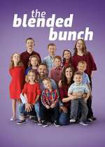Watch The Blended Bunch Megashare