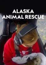 Watch Alaska Animal Rescue Megashare