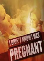 Watch I Didn't Know I Was Pregnant Megashare