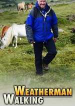 Watch Weatherman Walking Megashare