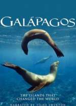 Watch Galapagos Megashare