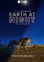 Watch Earth At Night In Color Megashare