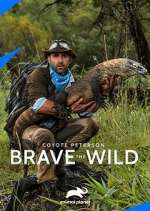 Watch Coyote Peterson: Brave the Wild Megashare